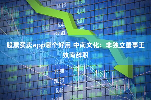 股票买卖app哪个好用 中南文化：非独立董事王效南辞职