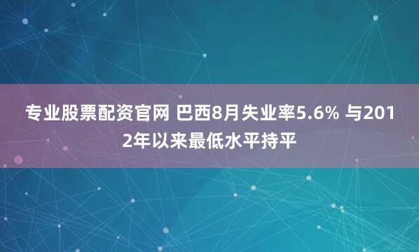 专业股票配资官网 巴西8月失业率5.6% 与2012年以来最低水平持平